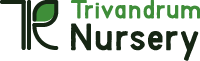 Trivandrum Nursery