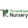 Trivandrum Nursery
